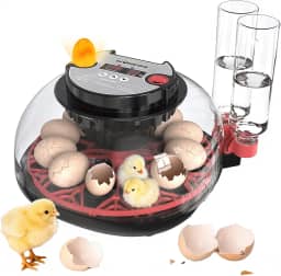 Incubadora automática de ovos com espátula, capacidade para 12 ovos, controle de temperatura, visão de 360°, para codorna de galinha, pato, ganso (incubadora de 12 ovos)