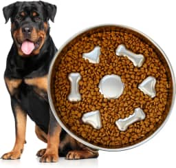 Potes e Tigelas para Cães,304 Aço Inoxidável Comedouro Lento Funcional Mini Pet Fit Agua Para Cães, para Alimentação Lenta (1 Kit)