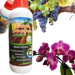 Fungicida e Bactericida para Flores, Orquídeas, Cactos, Suculentas e Plantas de Vaso