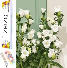 ZRIZQ Pintura por número para adultos iniciantes, tela de 30 cm x 40 cm C para kits de pintura para adultos em caixa colorida, pintura por números para decoração de parede de casa - lírio