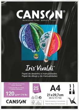 CANSON Iris Vivaldi, Papel Colorido A4 em Pacote de 25 Folhas Soltas, Gramatura 120 g/m², Cor Preto (38)