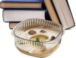 Aquário Tartarugas Bebé,Multifuncional Transparente Vista Completa Habitat Para Tartarugas - Terrário Para Caranguejos E Camarões | Para Caranguejos Ermitões Peixes Anfíbios