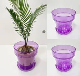 RISEON Pacote com 3 potes de orquídea de plástico acrílico transparente com furos e pires, vaso de acrílico grosso, orquídea Dendrobium Oncidium Cattleya para repotting para ambientes internos e
