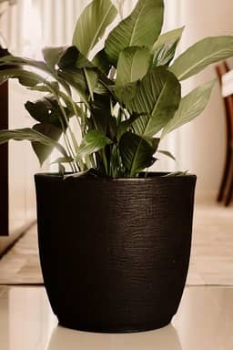 Vaso Planta Polietileno Escovado Luxo Bojo Redondo N1 (Preto)