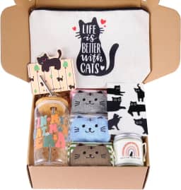 Presentes para amantes de gatos para mulheres, caixa de presente de mãe de gato para Natal, Dia das Mães, aniversário, presentes de gato para amantes de gatos, presentes temáticos de gato