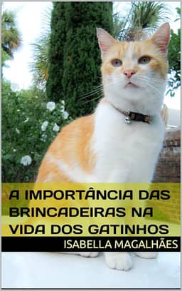 A IMPORTÂNCIA DAS BRINCADEIRAS NA VIDA DOS GATINHOS