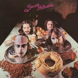 Secos Molhados, LP Secos Molhados - Série Clássicos Em Vinil [Disco de Vinil]