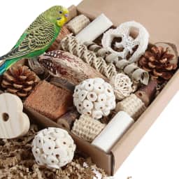 Kyouki Brinquedos de papagaio para pássaros, caixa de forrageamento natural para periquitos, calopsitas, conures, pássaros do amor e outros pássaros pequenos a médios (médios)