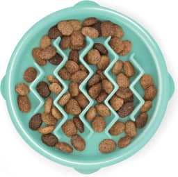 Tigela Outward Hound Fun Feeder, para alimentação lenta, pequeno, Mint