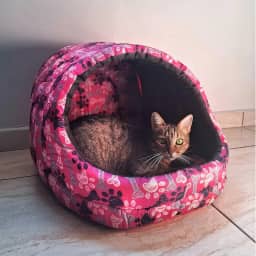 Cama Gato Ninho Toca Iglu Esconderijo Caminha Pet - Lillos Pet (Rosa)