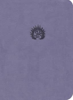 A Bíblia de Estudo da Fé Reformada: Capa Luxo Lavanda e Estojo