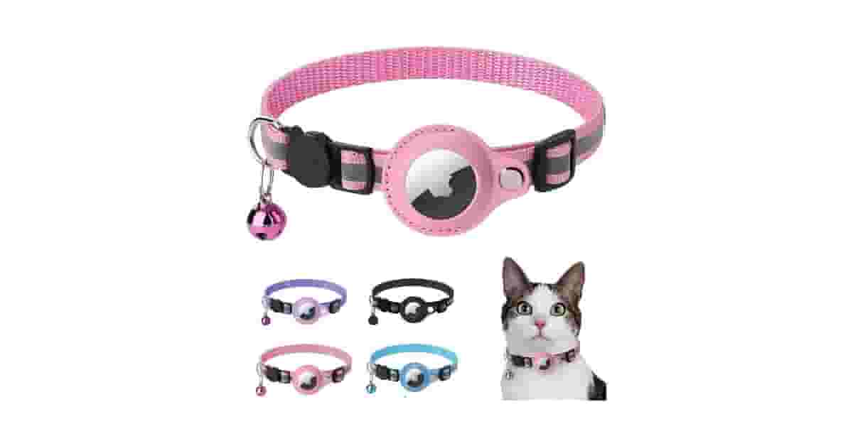 Qual é a Melhor Coleira Para Cachorro Com Gps? Guia