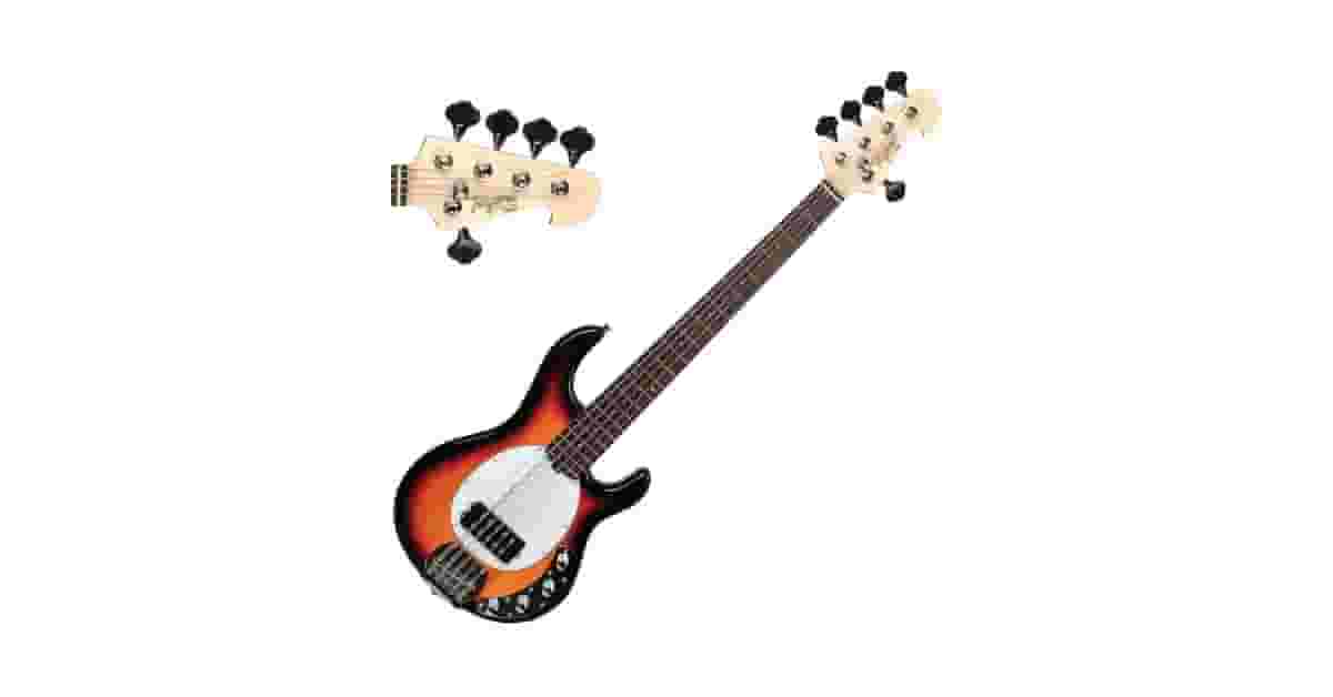 Qual É o Melhor Baixo de 5 Cordas Fretless Ativo? 5 Opções Analisadas