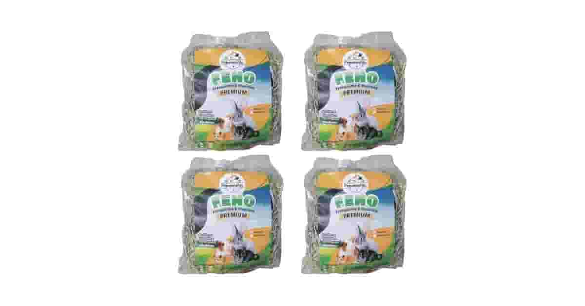 Qual É o Melhor Feno Para Roedor? Guia de Tipos