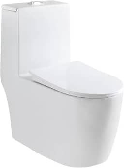 Vaso Sanitário Monobloco Completo Com Assento Branco Gowff