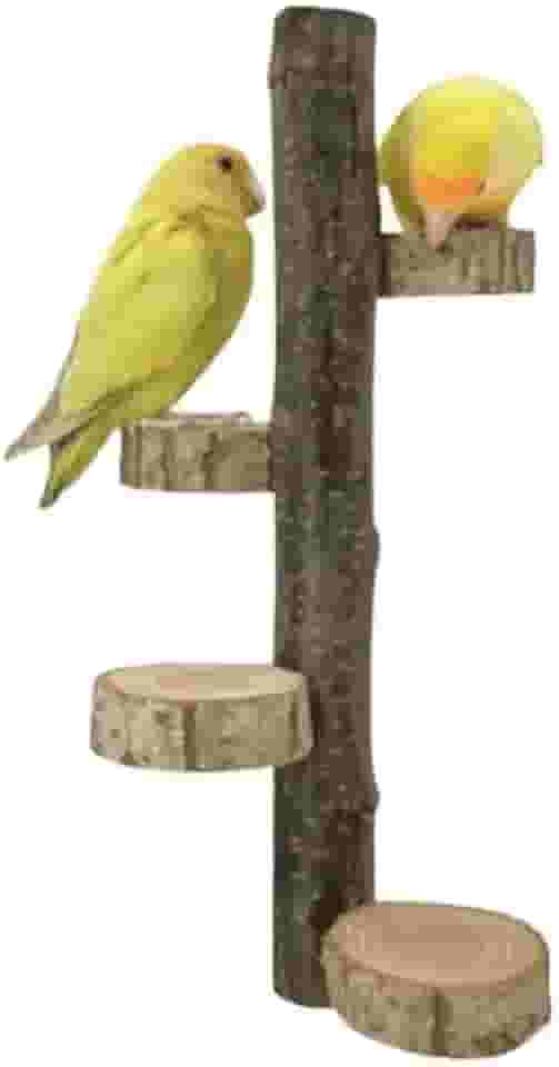 Poleiro Natural em Madeira para Pássaros, Escada com Plataformas, Acessório para Gaiolas de Calopsitas, Agapornis e Periquitos