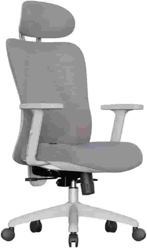 Cadeira Ergonômica Samaia Mesh com Apoio Lombar, Assento Confortável e Ajuste de Altura – Ideal para Escritório e Home Office