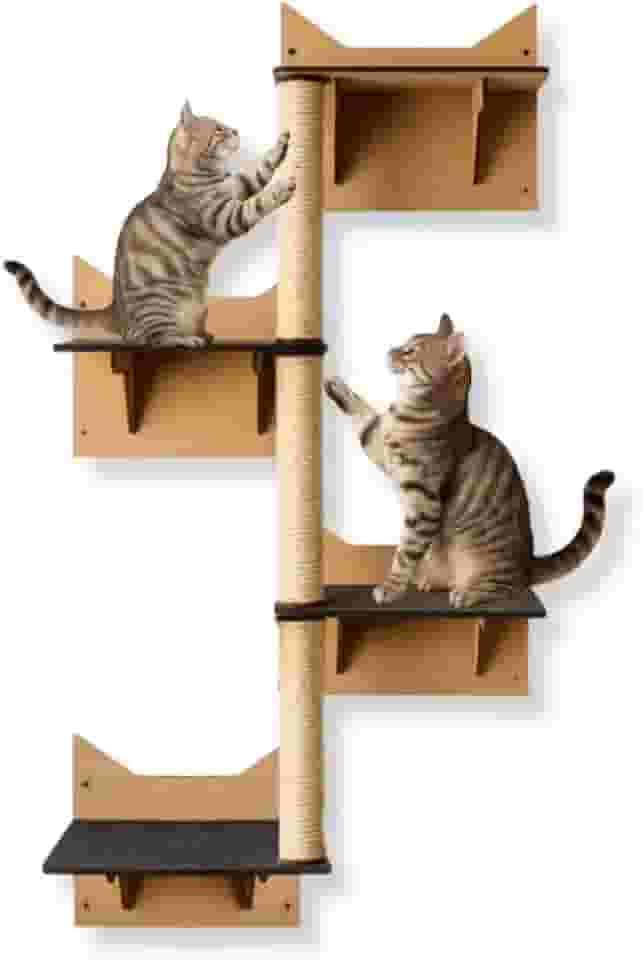Mondo Box Playground para Gatos Prateleiras Escadinha de Parede com Arranhador Sisal Escalada de Gato Brinquedo Escalador Suspenso Mdf Resistente Descanso e Diversão Felina