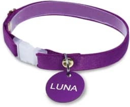 Coleira personalizada com nome e telefone Gatos PETS (Roxo, Adulto (16 cm a 29 cm))