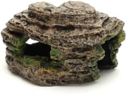 Tocas de Rochas para Peixes e Répteis de Médio Porte | Ornamento de Resina Atóxica para Aquários e Terrários | Pintura Artesanal (Ciclideos)