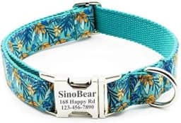 Coleira de cachorro com fivela de metal vermelha