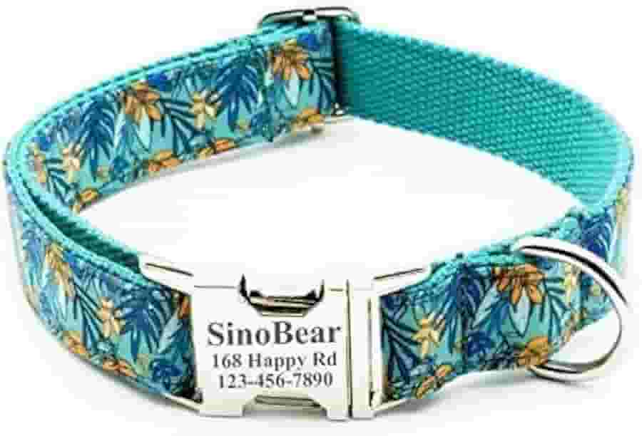 Coleira de cachorro com fivela de metal vermelha