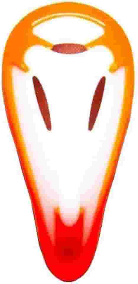 CONCHA COQUILHA PROTEÇÃO GENITAL