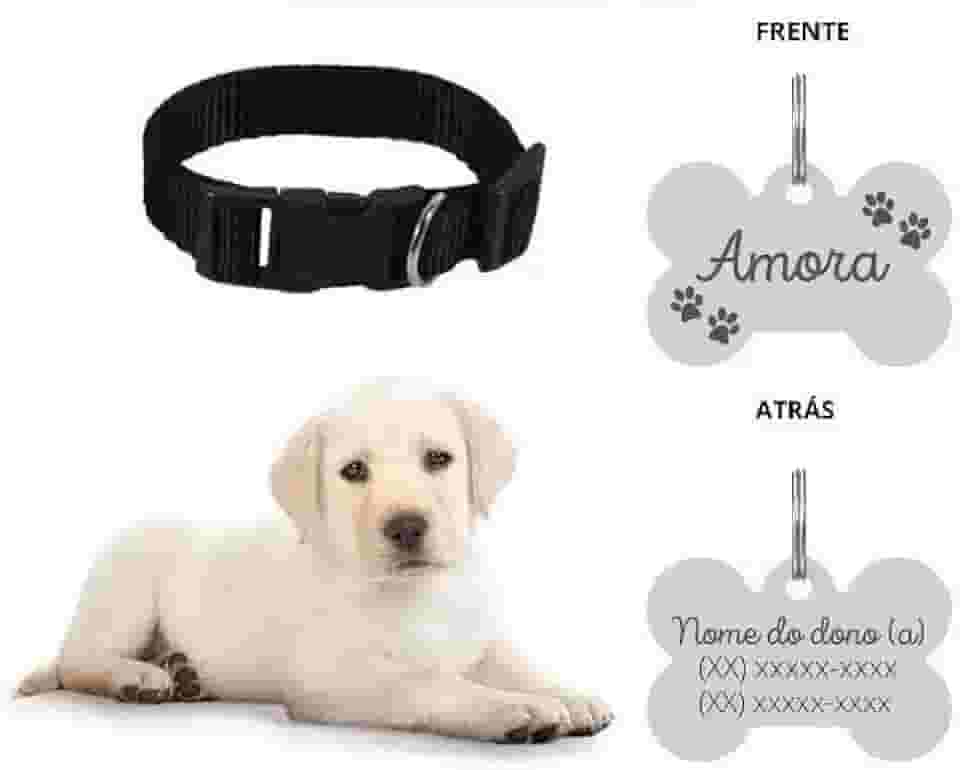 Coleira Personalizada Com Nome E Telefone A Lase (G, Preta)