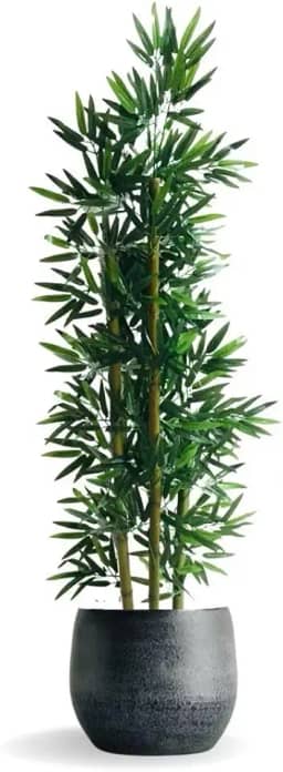 Bambuzinho Bambu Da Sorte 2 metros Haste Planta ArtificialDecorações modernas para a sala de estar, o escritório ou o jardim