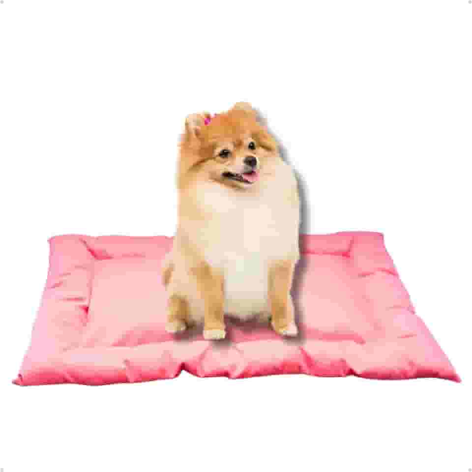Cama Caminha Colchonete Rosa Pequeno 70x50cm para Cachorro e Gato de Suede Lavável Almofada Pet Macia Confortável