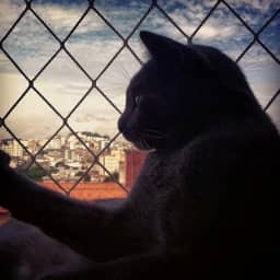 Kit Completo Rede Tela De Proteção Para Sacadas Janelas Gatos Crianças - 3m X 1,30m