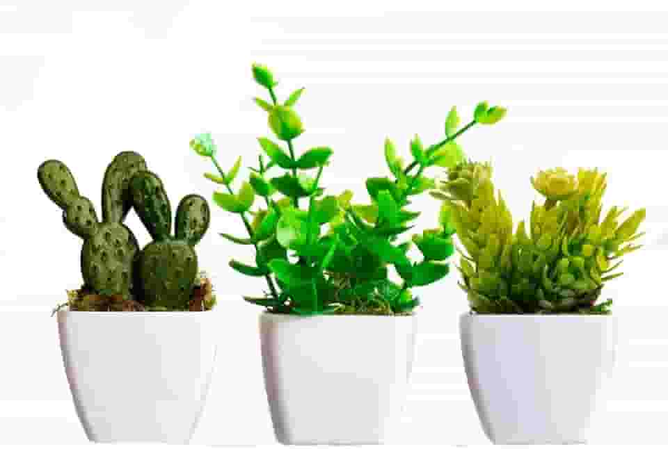 Kit 3 Vasos Decorativos com Plantas Artificiais - Decoração para Casa/Escreitório(KIT COM CACTO VASO QUADRADO)