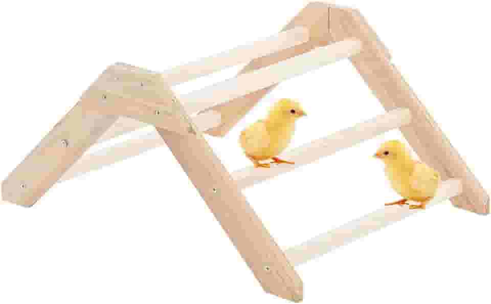 Poleiro Para Galinheiro - Suporte De Treinamento Em Para Pintinhos | Poleiros Antiderrapantes Para Treinamento De Aves Periquitos Gerbilos Hamsters