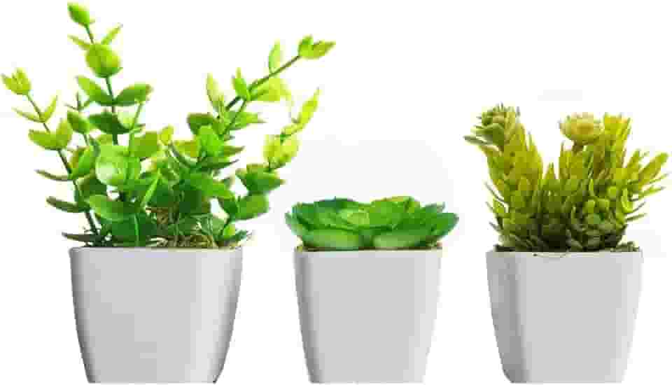3 Mini Vasinhos Cerejeira, Palmeira/Coqueiro Suculentas Artificiais/Plantinha Artificial (KIT COM SUCULENTA)