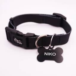 Coleira Ajustável Cachorro Yoo Pets e Plaquinha de Identificação Nome e Telefone PETS G (47 cm a 69 cm)