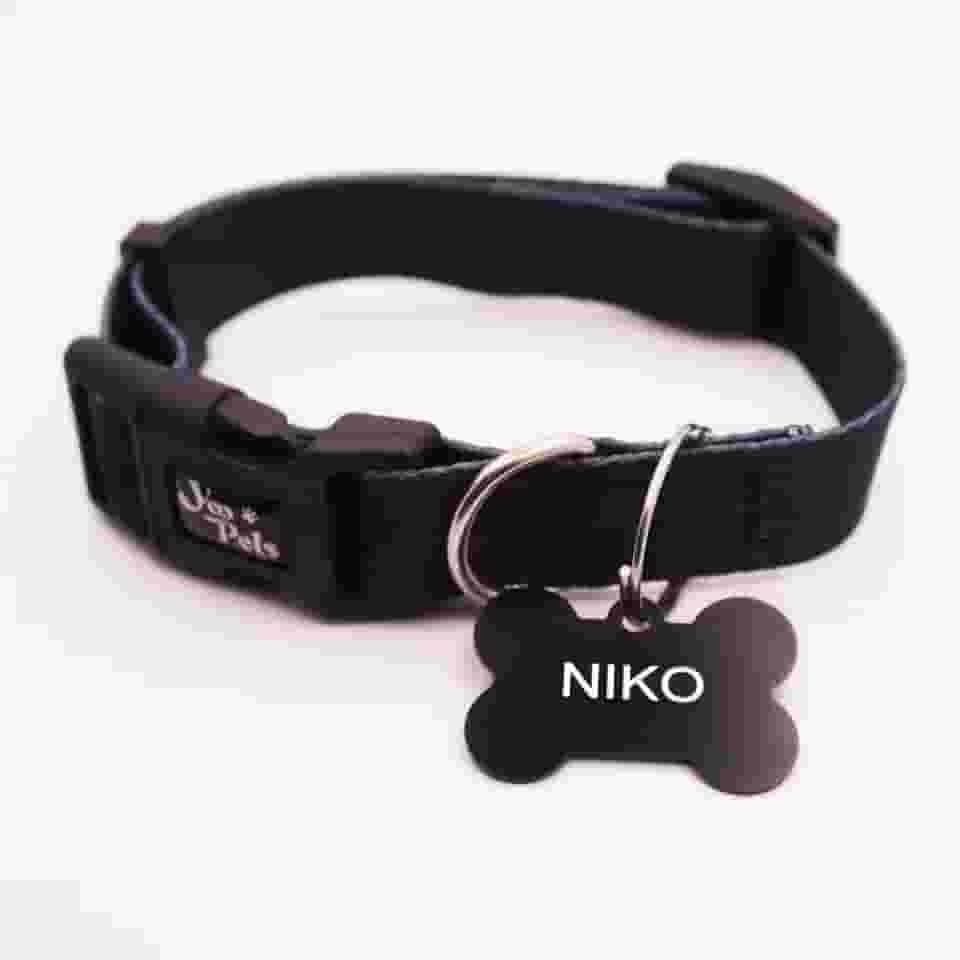 Coleira Ajustável Cachorro Yoo Pets e Plaquinha de Identificação Nome e Telefone PETS G (47 cm a 69 cm)