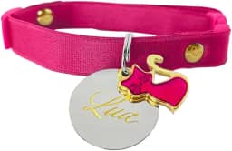 Coleira com Regulagem para Gatos e Plaquinha de Identificação nome e telefone PETS (Filhotes (14 cm a 24 cm))
