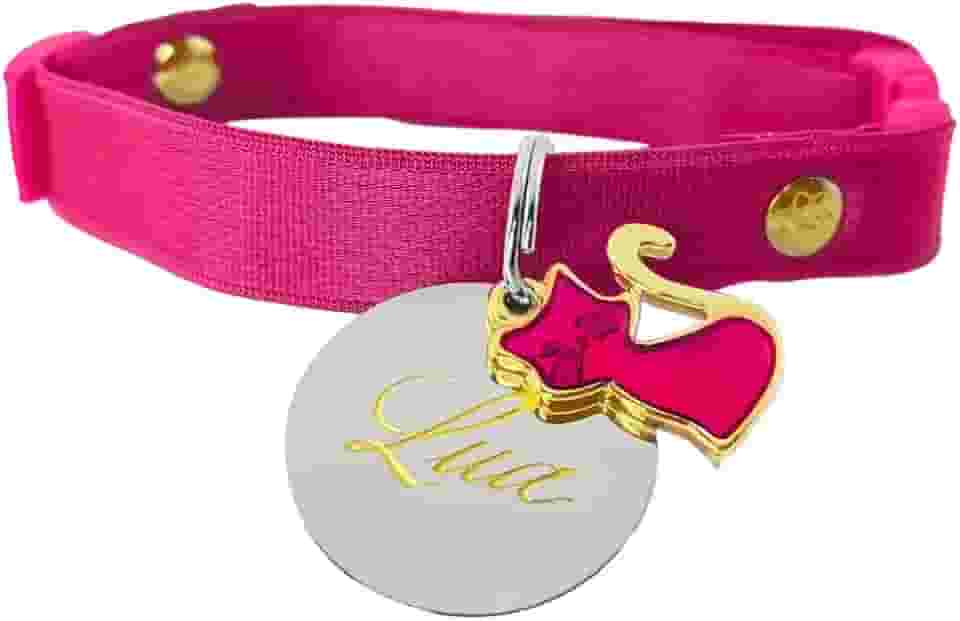 Coleira com Regulagem para Gatos e Plaquinha de Identificação nome e telefone PETS (Filhotes (14 cm a 24 cm))