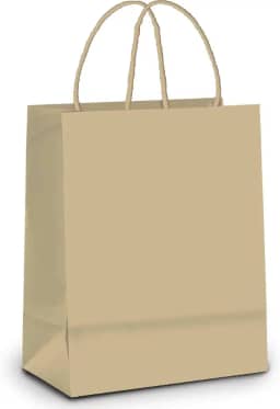 Sacola De Papel Para Presente Kraft C/ 10 Unidades Liso Na Cor Pardo - Tamanho 26x19,5x9,5 Cm - Cromus Embalagens