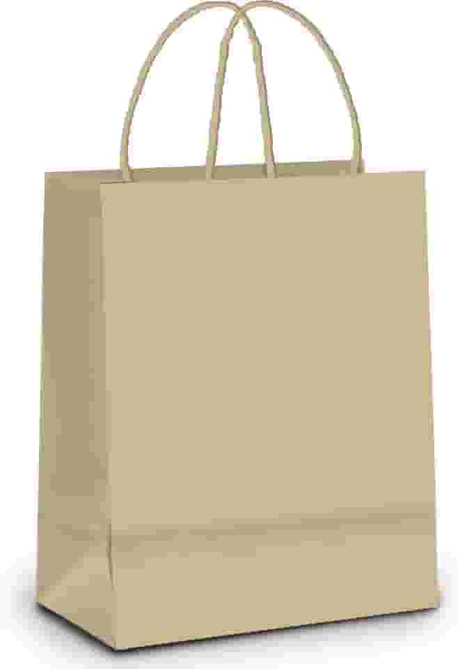 Sacola De Papel Para Presente Kraft C/ 10 Unidades Liso Na Cor Pardo - Tamanho 26x19,5x9,5 Cm - Cromus Embalagens