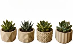 Kit de 8 Vasinhos Decorativos de Gesso - Ideal para Cactos e Plantas Artificiais, para Mesa/Estante/Sala, Design Delicado(KIT 4 VASINHOS)