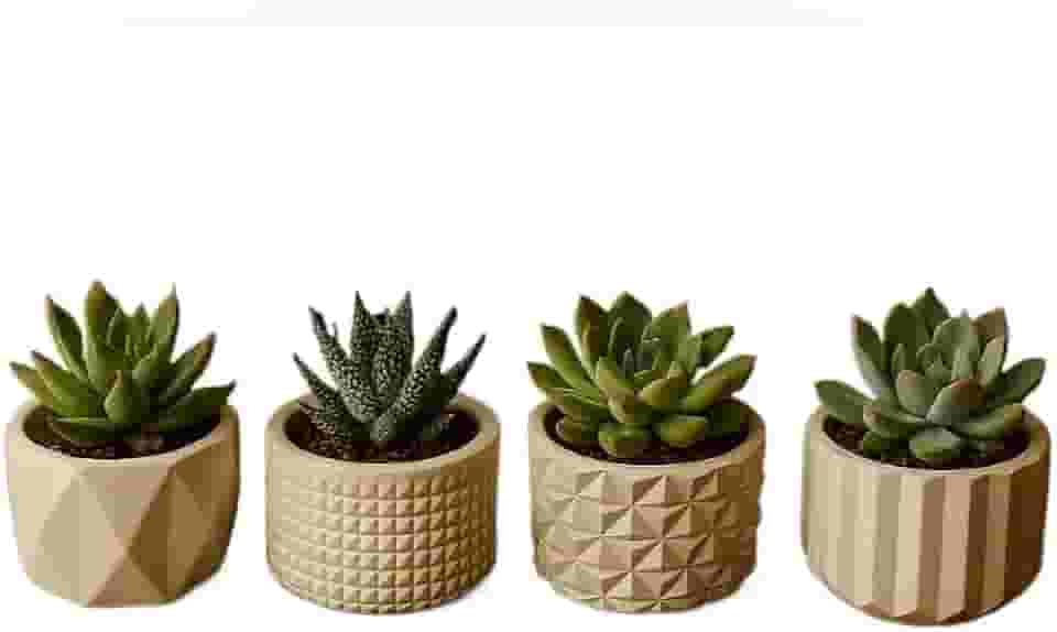 Kit de 8 Vasinhos Decorativos de Gesso - Ideal para Cactos e Plantas Artificiais, para Mesa/Estante/Sala, Design Delicado(KIT 4 VASINHOS)