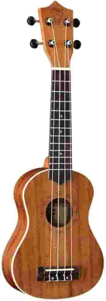 VIOLÃO ELETRICO NYLON