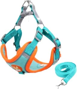 Coleira Peitoral para Cachorros e Gatos, Design Ergonômico, Faixa Reflexiva, Com Guia de Passeio (Azul Turquesa, M)