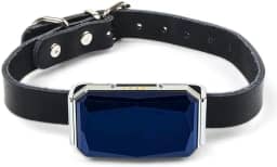 Localizador de Pet Coleira Rastreadora GPS para Cachorro e Gato Anti-Perdida IP67 Posicionamento Preciso Rastreamento Real Vários Alarmes Geo-Fence Gerenciamento Remoto Carregamento USB Compacto Leve