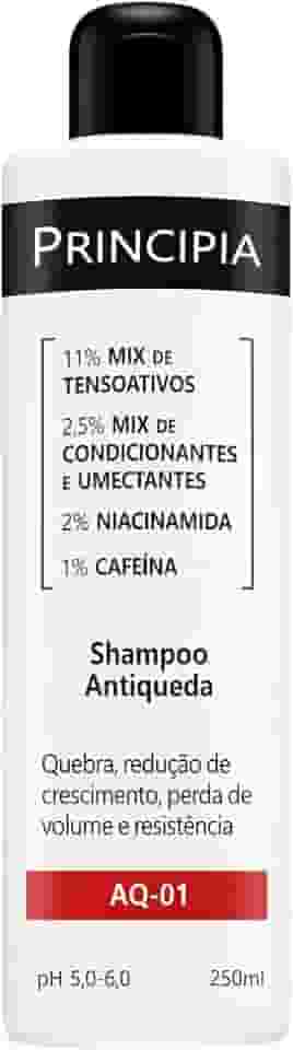 SHAMPOO ANTIQUEDA PRINCIPIA