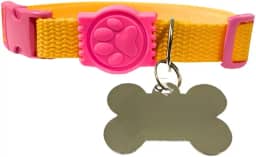 Coleira para Cachorro com Placa de Identificação (ROSA/AMARELO, G)
