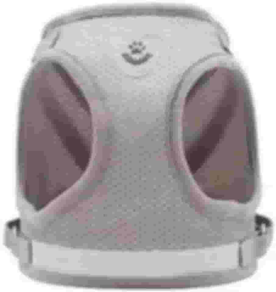 Coleira Pet Peitoral Ajustável para Cachorro com Guia, Malha Respirável, Design Reflexivo, Confortável (Cinza, Extra Grande)