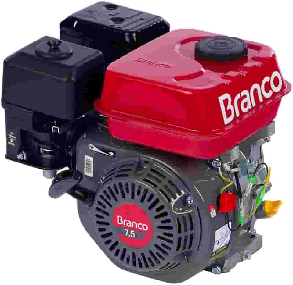 Motor Gasolina 7,5cv Eixo H Partida Manual com Alerta B4t-7.5h Branco