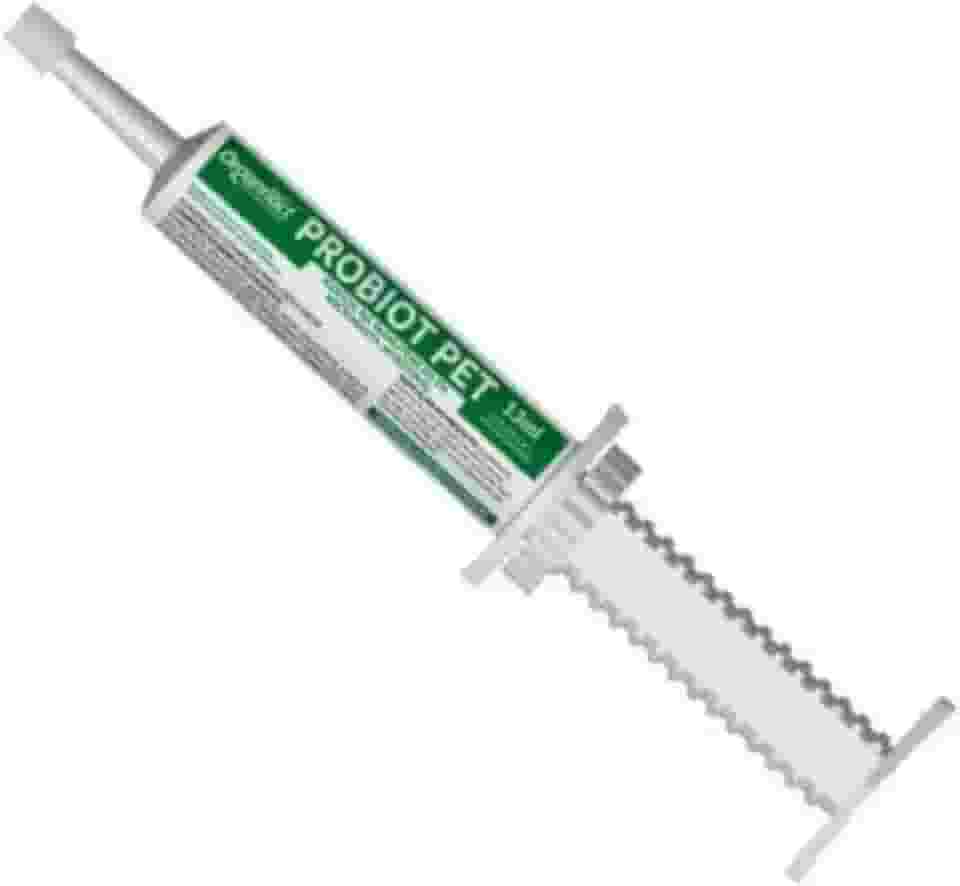 Organnact Probiótico para Cães e Gatos 13ml - Probiótico Pet